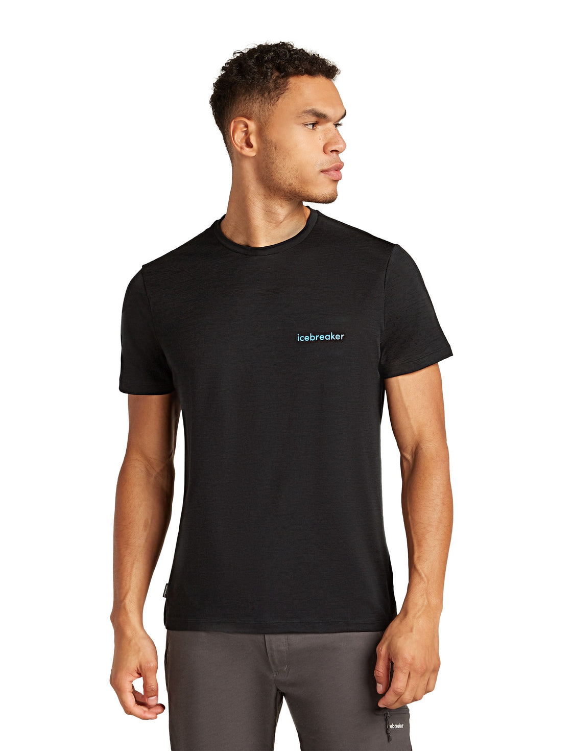 Tech Merino T-Shirt Icebreaker Wordmark ♂